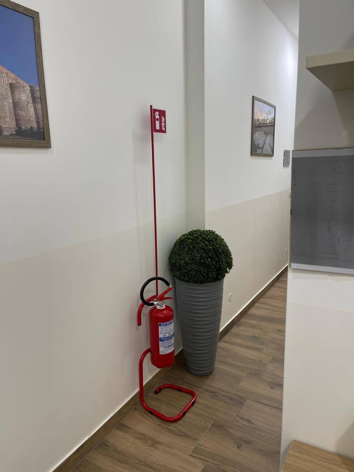 Calabro 21 Appartament Guest house Catania